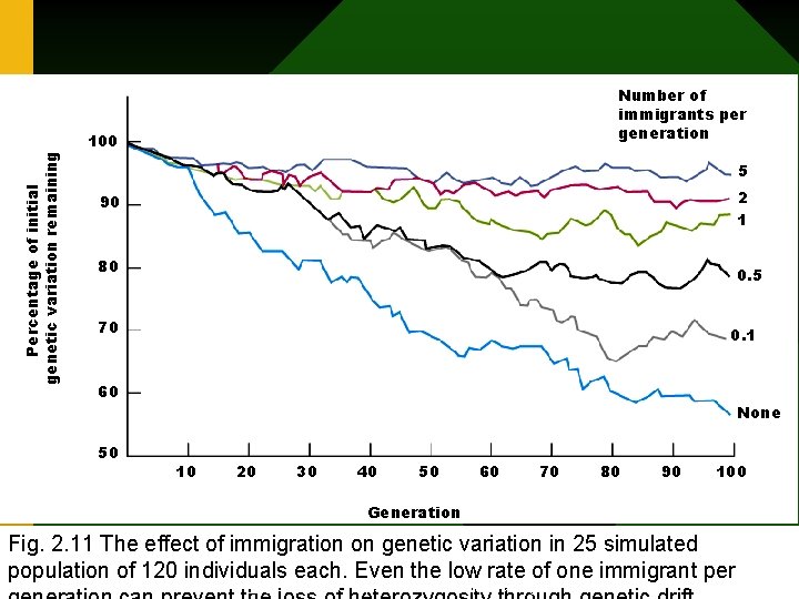 Number of immigrants per generation Percentage of initial genetic variation remaining 100 5 2