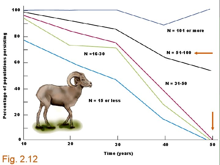 Percentage of populations persisting 100 N = 101 or more 80 N = 51