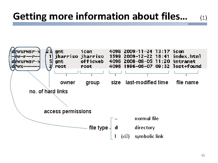 Getting more information about files… owner group size last-modified time (1) file name no.