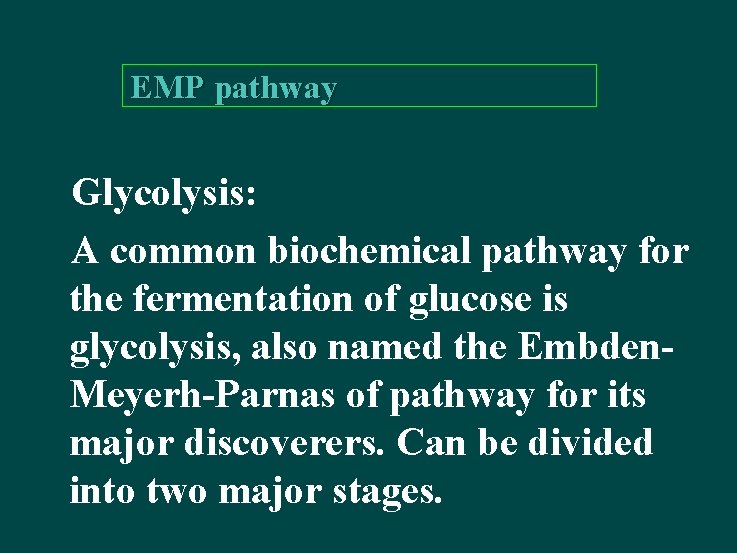 EMP pathway Glycolysis: A common biochemical pathway for the fermentation of glucose is glycolysis,