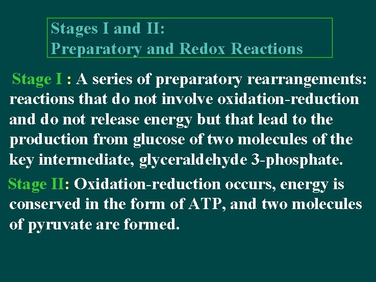 Stages I and II: Preparatory and Redox Reactions Stage I : A series of