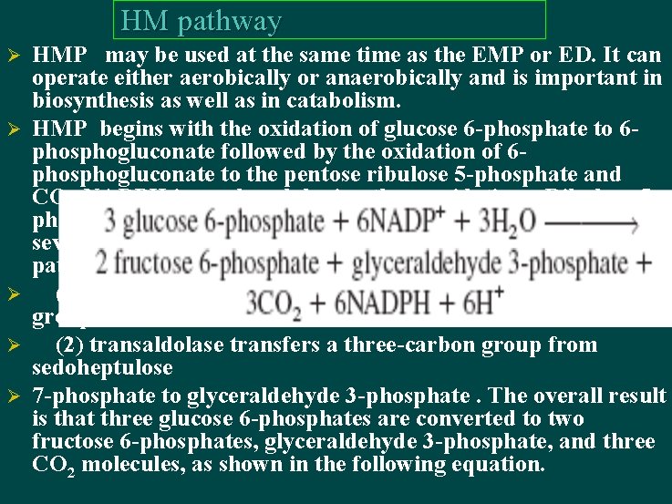 HM pathway Ø Ø Ø HMP may be used at the same time as