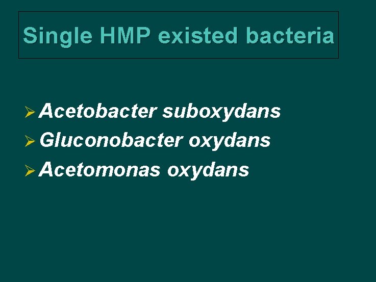 Single HMP existed bacteria Ø Acetobacter suboxydans Ø Gluconobacter oxydans Ø Acetomonas oxydans 