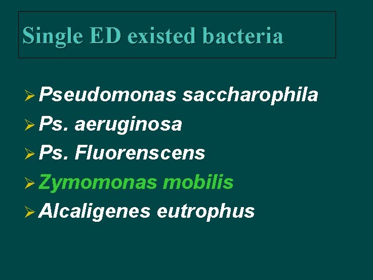 Single ED existed bacteria Ø Pseudomonas saccharophila Ø Ps. aeruginosa Ø Ps. Fluorenscens Ø