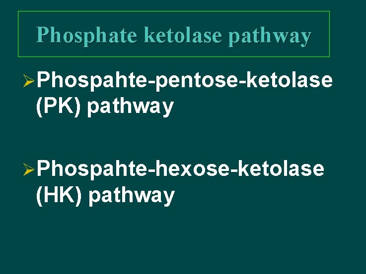 Phosphate ketolase pathway ØPhospahte-pentose-ketolase (PK) pathway ØPhospahte-hexose-ketolase (HK) pathway 