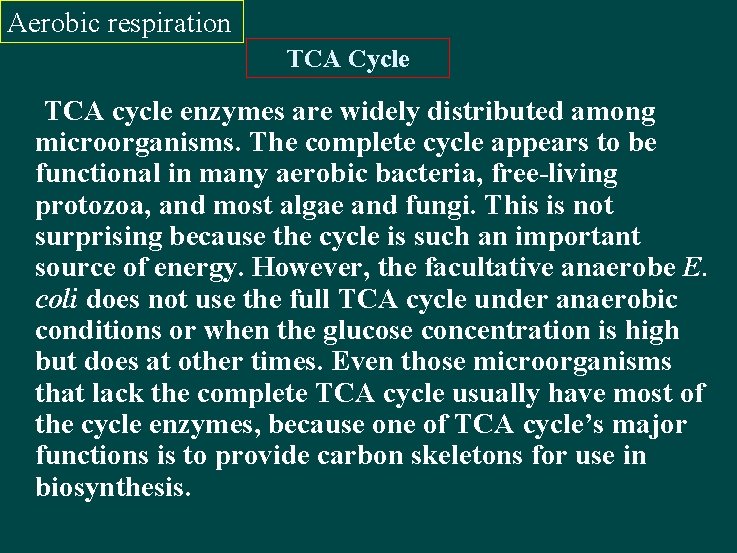 Aerobic respiration TCA Cycle TCA cycle enzymes are widely distributed among microorganisms. The complete