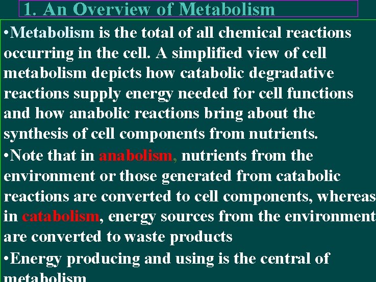 1. An Overview of Metabolism • Metabolism is the total of all chemical reactions