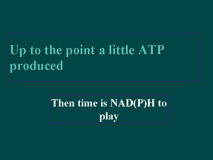 Up to the point a little ATP produced Then time is NAD(P)H to play