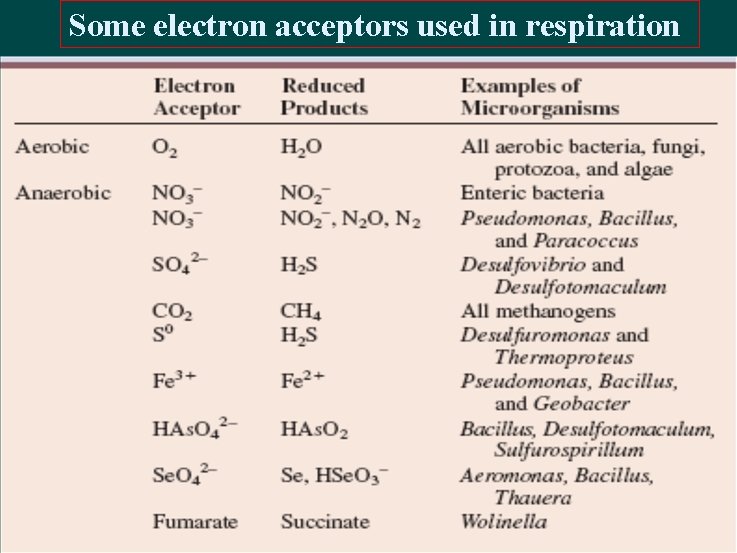 Some electron acceptors used in respiration 