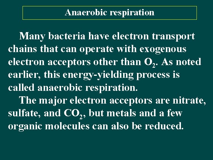 Anaerobic respiration Many bacteria have electron transport chains that can operate with exogenous electron