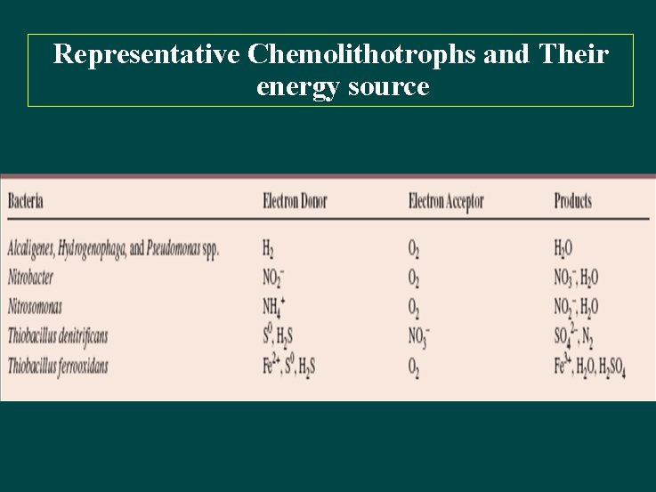 Representative Chemolithotrophs and Their energy source 