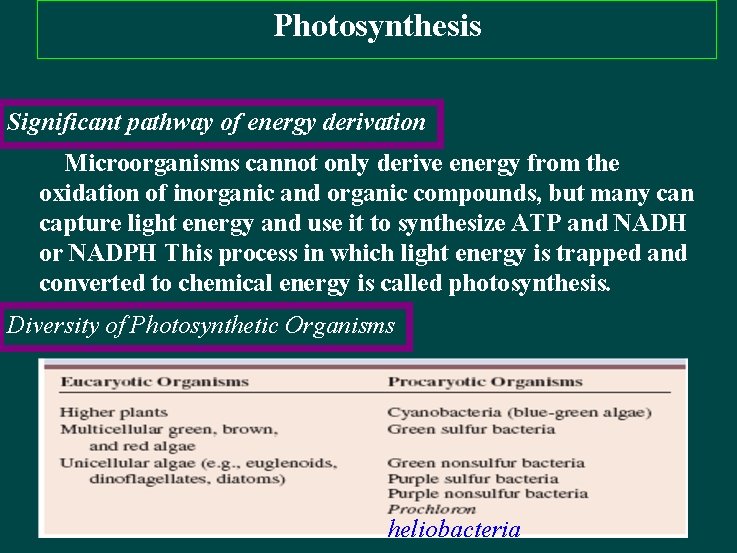 Photosynthesis Significant pathway of energy derivation Microorganisms cannot only derive energy from the oxidation