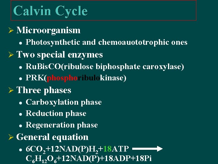 Calvin Cycle Ø Microorganism l Photosynthetic and chemoauototrophic ones Ø Two special enzymes l