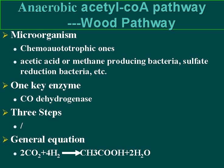 Anaerobic acetyl-co. A pathway ---Wood Pathway Ø Microorganism l l Chemoauototrophic ones acetic acid