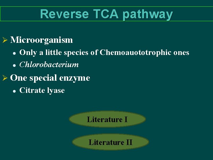 Reverse TCA pathway Ø Microorganism l l Only a little species of Chemoauototrophic ones
