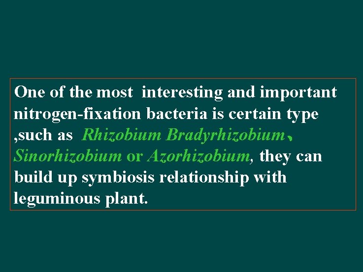 One of the most interesting and important nitrogen-fixation bacteria is certain type , such