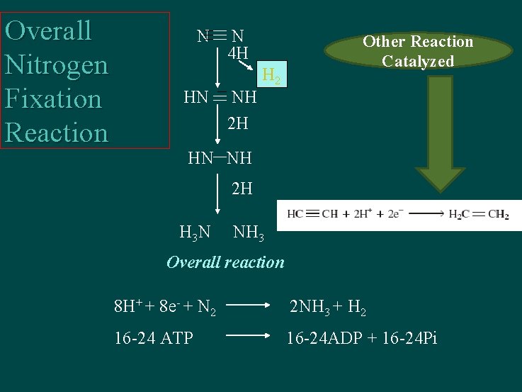 Overall Nitrogen Fixation Reaction N HN N 4 H NH 2 H H 2
