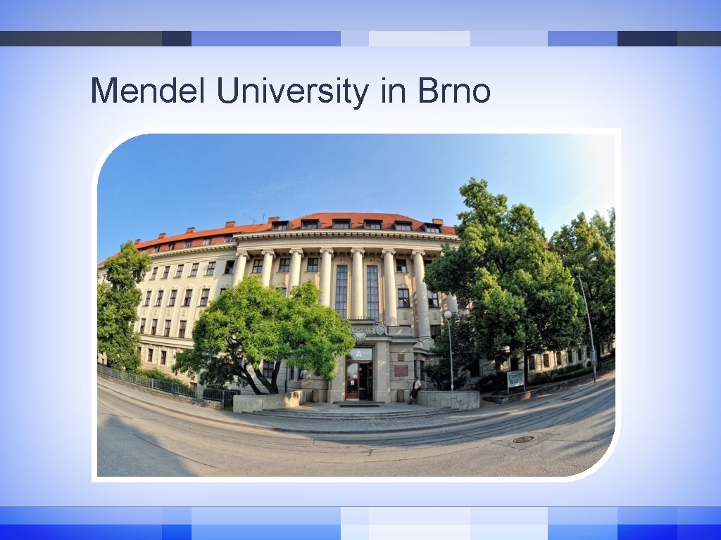 Mendel University in Brno Mendel University in Brno