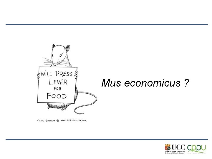 Mus economicus ? 