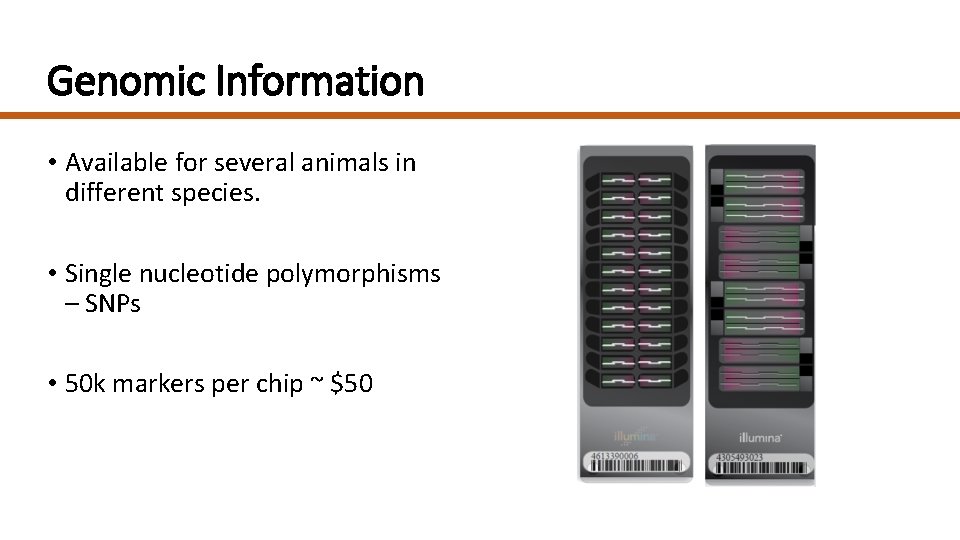 Genomic Information • Available for several animals in different species. • Single nucleotide polymorphisms