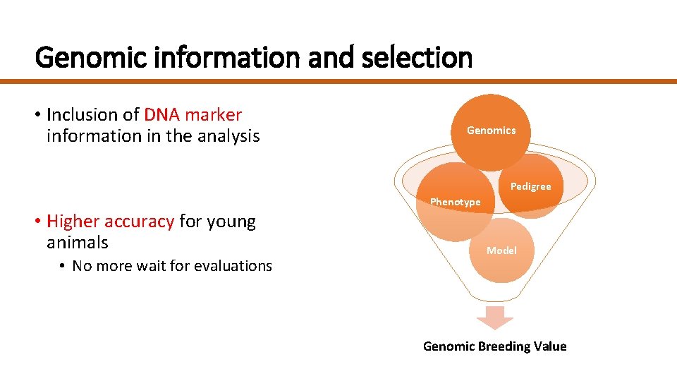 Genomic information and selection • Inclusion of DNA marker information in the analysis Genomics