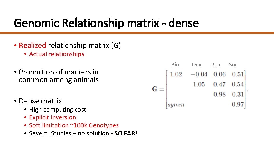 Genomic Relationship matrix - dense • Realized relationship matrix (G) • Actual relationships •