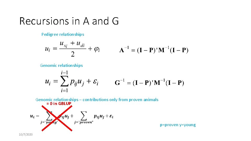 Recursions in A and G Pedigree relationships Genomic relationships – contributions only from proven