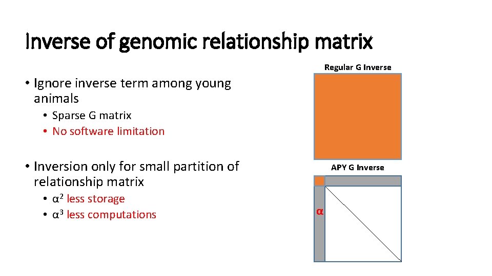 Inverse of genomic relationship matrix Regular G Inverse • Ignore inverse term among young