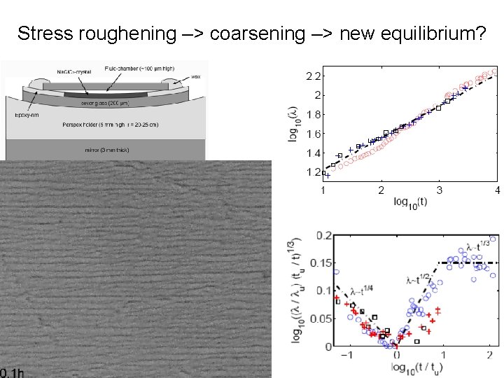 Stress roughening –> coarsening –> new equilibrium? 