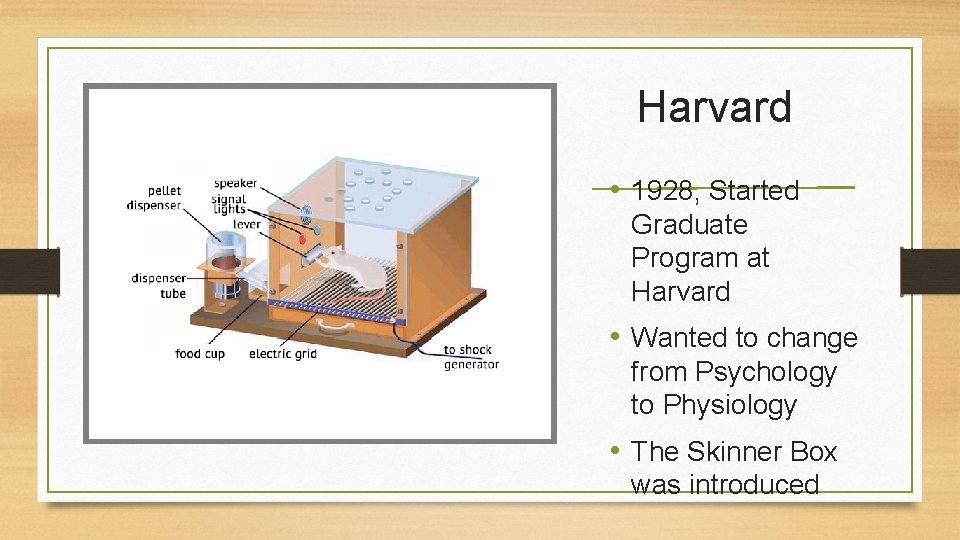 Harvard • 1928, Started Graduate Program at Harvard • Wanted to change from Psychology