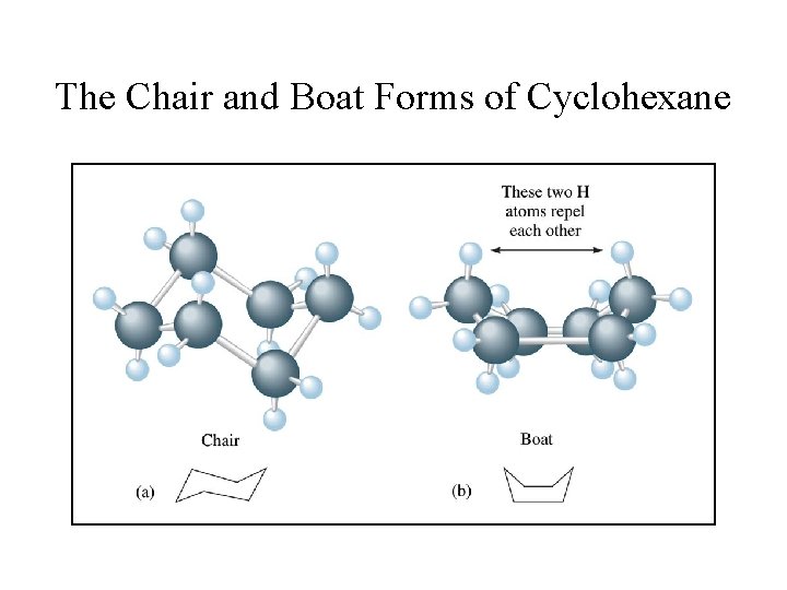 The Chair and Boat Forms of Cyclohexane 