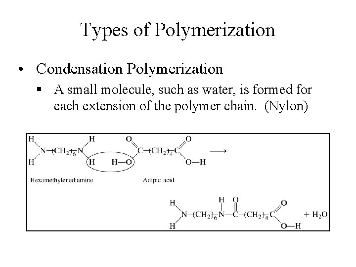 Types of Polymerization • Condensation Polymerization § A small molecule, such as water, is