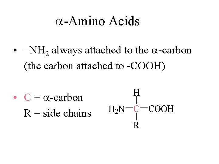  -Amino Acids • –NH 2 always attached to the -carbon (the carbon attached