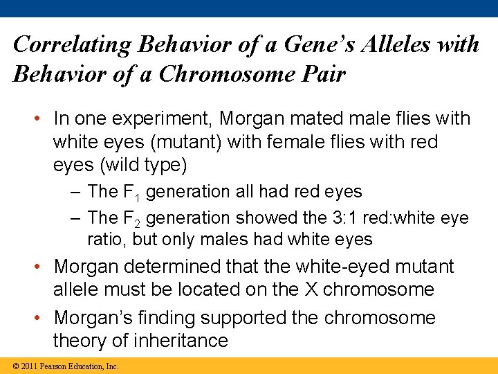 Correlating Behavior of a Gene’s Alleles with Behavior of a Chromosome Pair • In