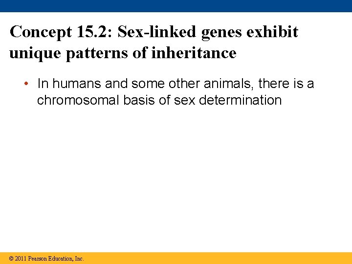 Concept 15. 2: Sex-linked genes exhibit unique patterns of inheritance • In humans and