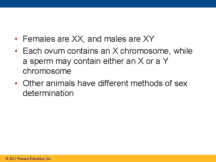  • Females are XX, and males are XY • Each ovum contains an