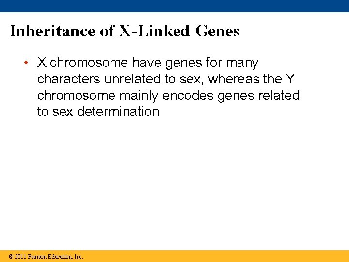 Inheritance of X-Linked Genes • X chromosome have genes for many characters unrelated to