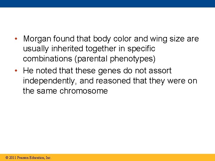  • Morgan found that body color and wing size are usually inherited together