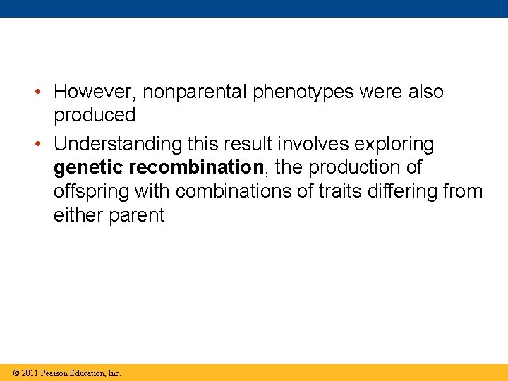 • However, nonparental phenotypes were also produced • Understanding this result involves exploring