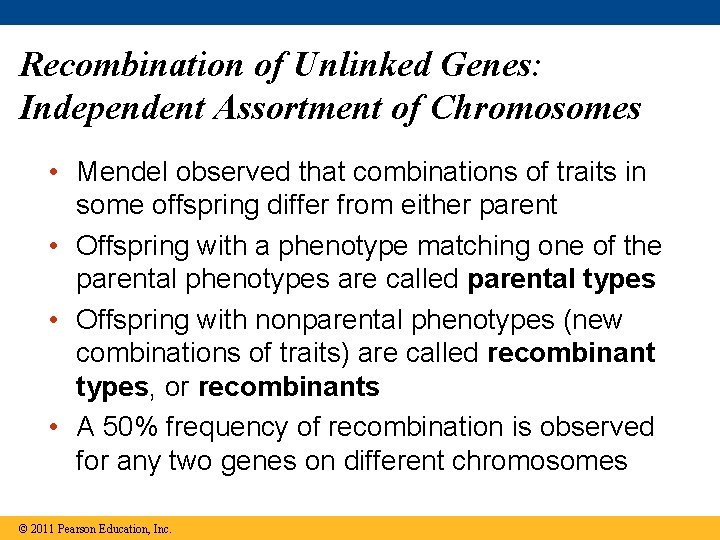 Recombination of Unlinked Genes: Independent Assortment of Chromosomes • Mendel observed that combinations of