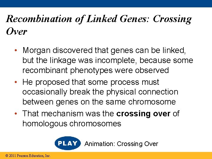 Recombination of Linked Genes: Crossing Over • Morgan discovered that genes can be linked,