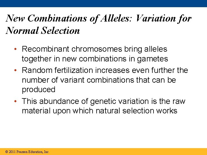 New Combinations of Alleles: Variation for Normal Selection • Recombinant chromosomes bring alleles together