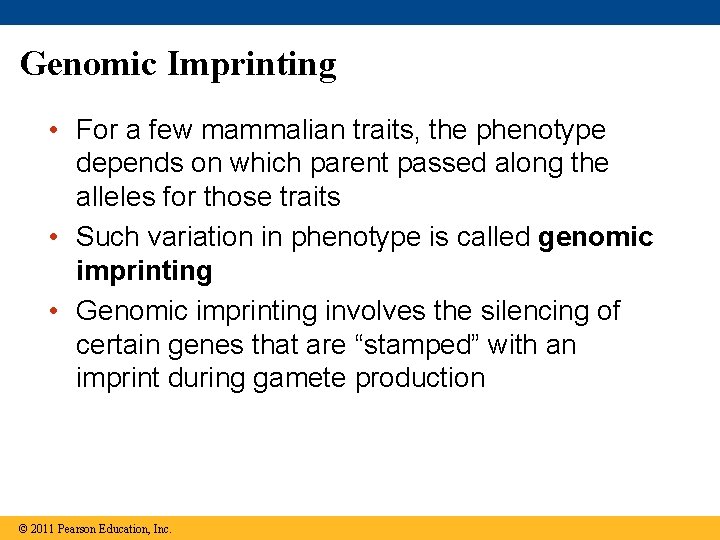 Genomic Imprinting • For a few mammalian traits, the phenotype depends on which parent