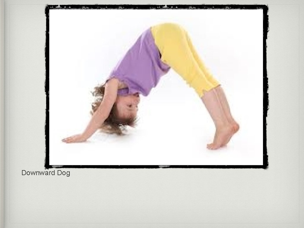Downward Dog 
