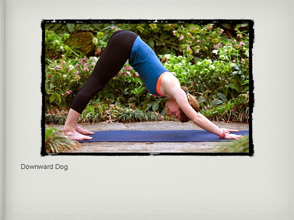 Downward Dog 
