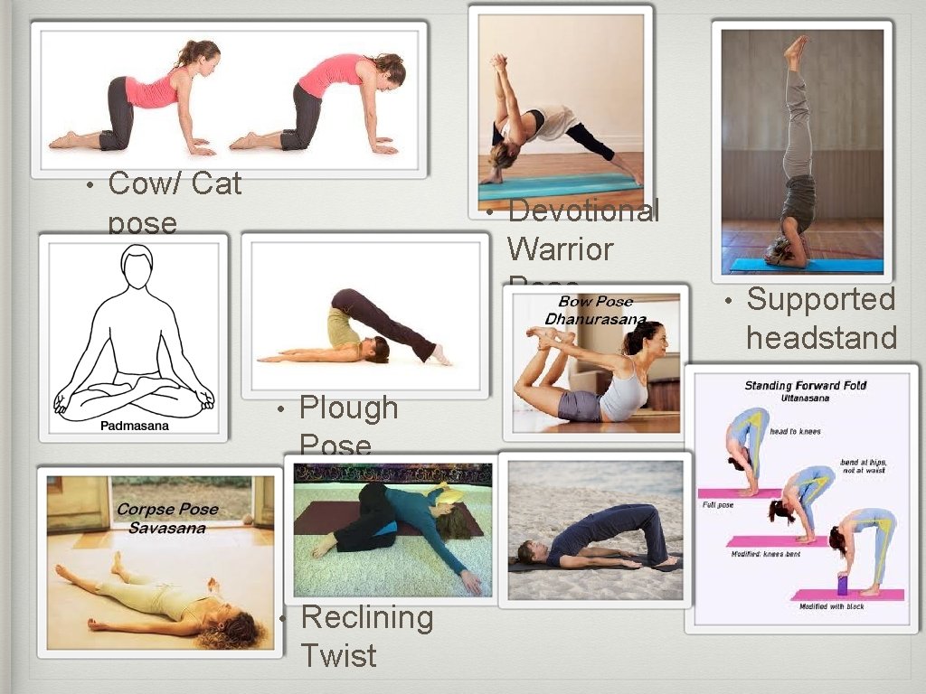  • Cow/ Cat pose • • Plough Pose • Reclining Twist Devotional Warrior