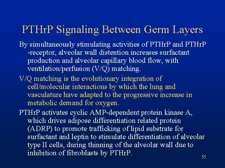 PTHr. P Signaling Between Germ Layers By simultaneously stimulating activities of PTHr. P and