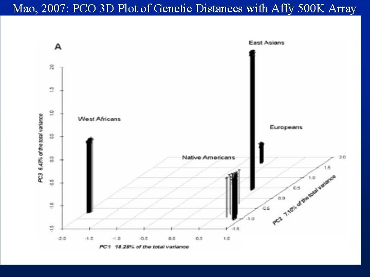 Mao, 2007: PCO 3 D Plot of Genetic Distances with Affy 500 K Array