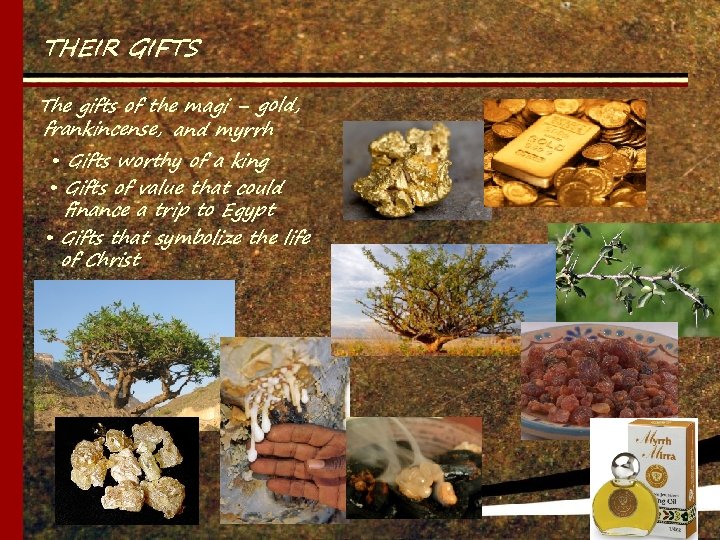 THEIR GIFTS The gifts of the magi – gold, frankincense, and myrrh • Gifts