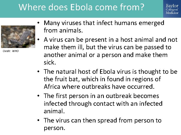 Where does Ebola come from? Credit: WHO • Many viruses that infect humans emerged